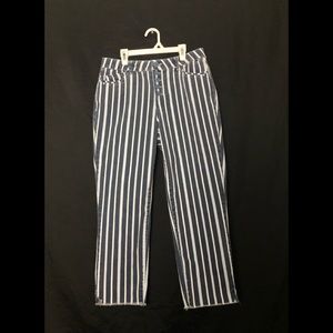 democracy pants